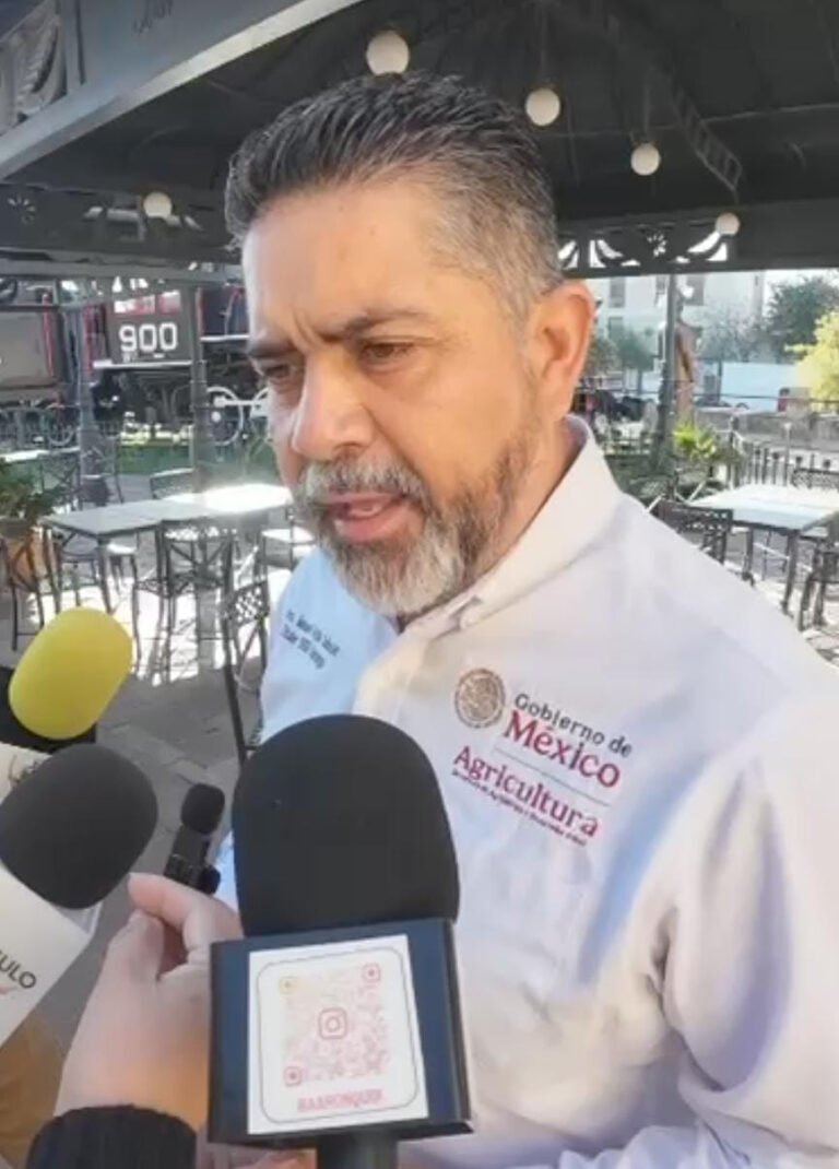 Arranca la cosecha de frijol en Durango