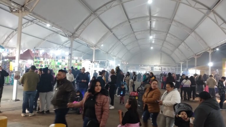 La Feria del juguete se trasladará al recinto ferial de la Villista