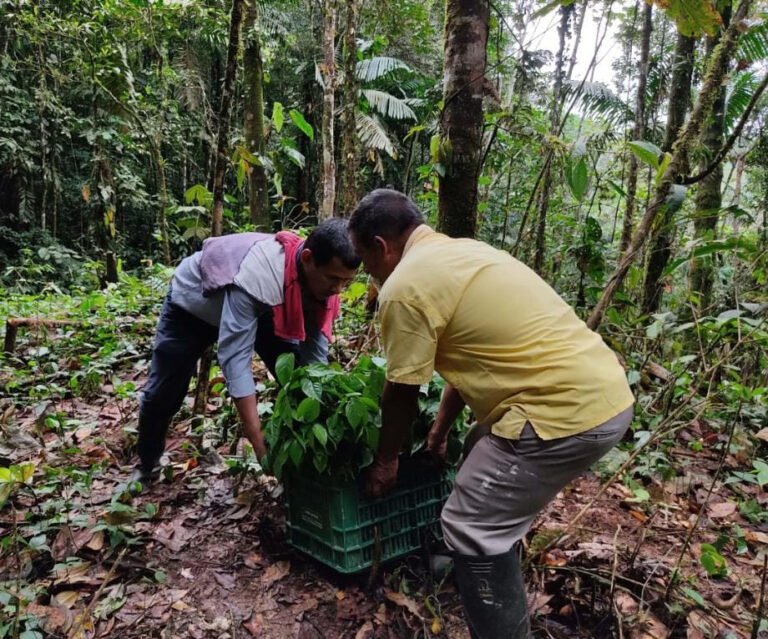 Durango defiende fideicomiso forestal ante falta de apoyo federal