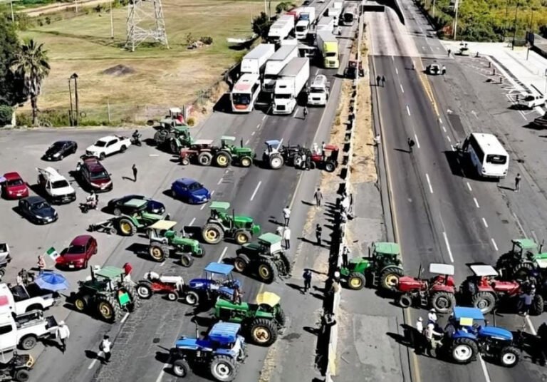 Gobierno Federal y productores acuerdan precio justo del maíz