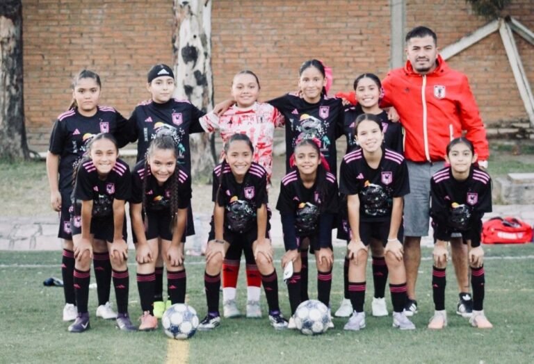 Academia Japón a Puebla