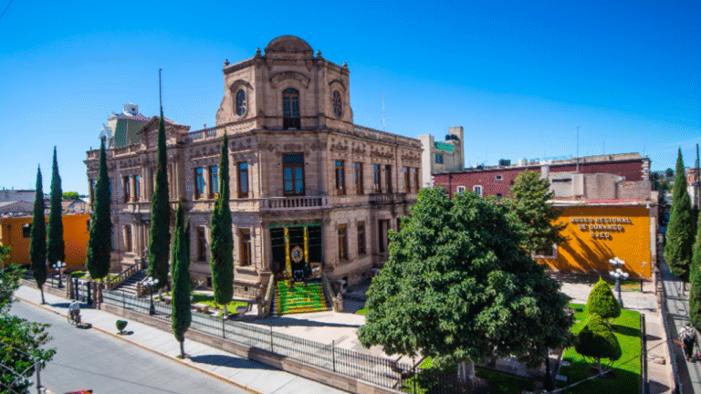 Celebra la Navidad en el Museo del Aguacate