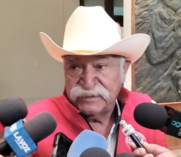 Plaga de gusano descortezador amenaza bosques y economía forestal