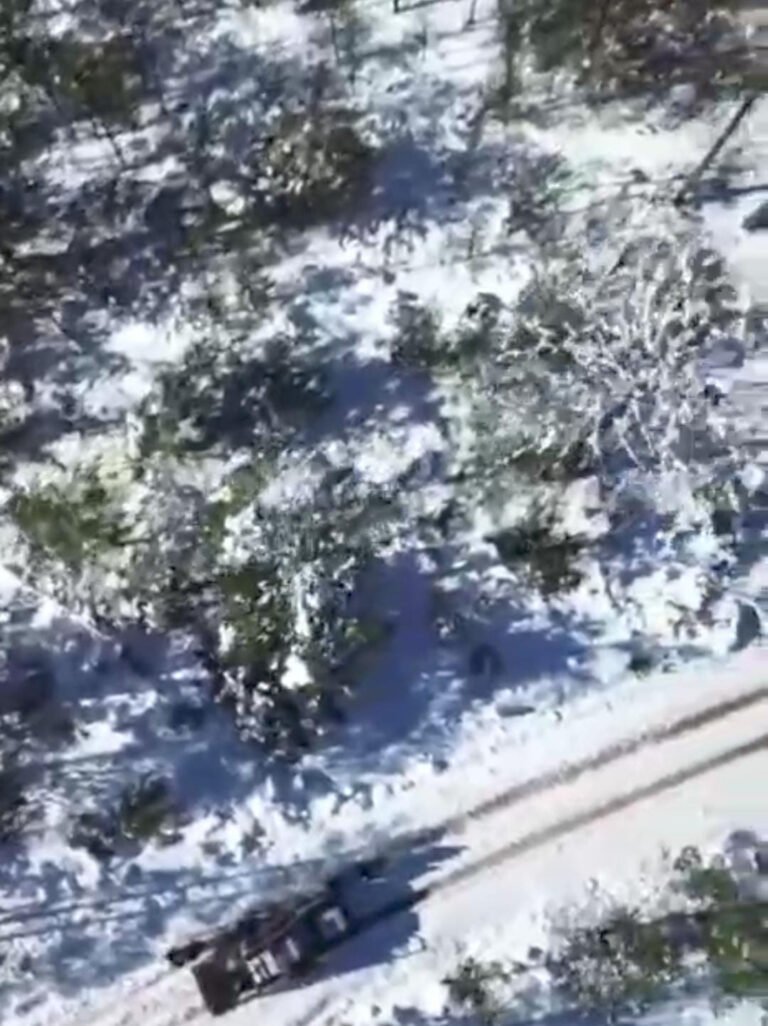 Cae nieve en municipios serranos de Durango