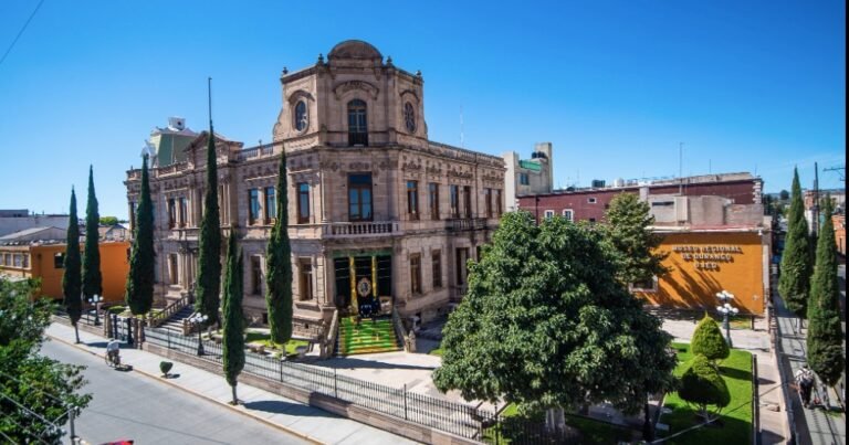 Vive el Viernes de Consejo Técnico en el Museo del Aguacate