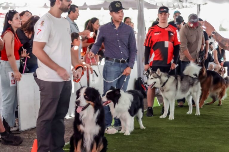 Celebraron el amor por las mascotas en la Feria Villista 2026