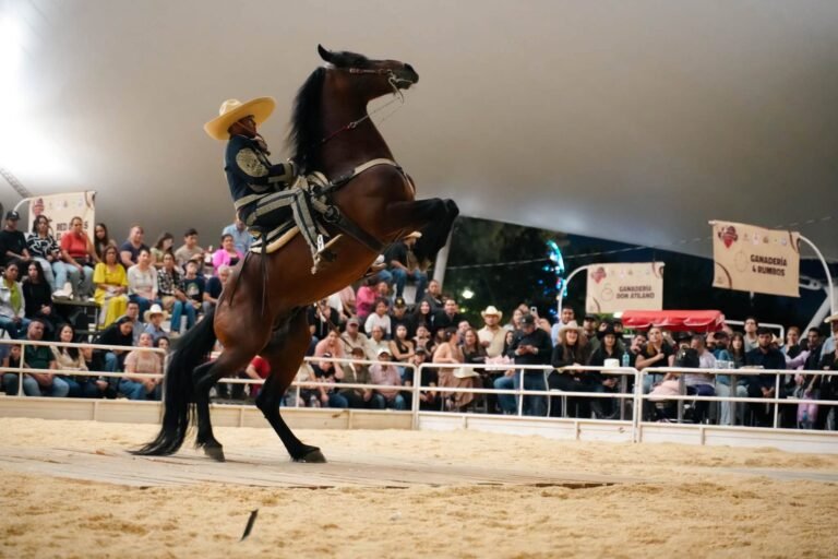 Concurso de Caballos Bailadores; la tradición ecuestre que conquista “La Villista” 2026
